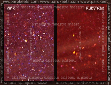 Alverde - Lipgloss - Pink, Ruby Red