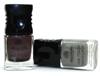 Alessandro Parokeets gallery