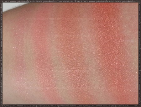 Revolution Ultra Blush Palette Hot Spice swatch