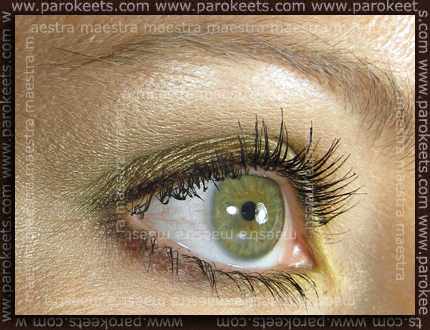 Everyday Minerals - Pearl Beige; Sweetscents: Egyptian Desert, Myst, Jardin, Fancy; Calvin Klein gel liner Cocoa Sheen