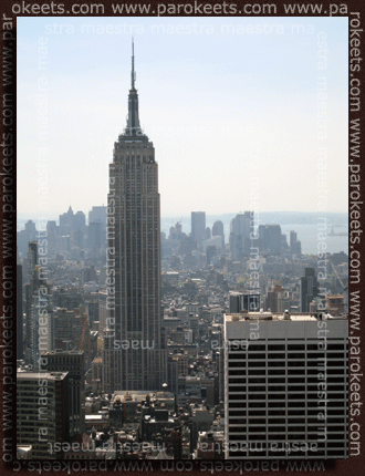 Empire State Building