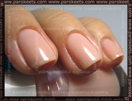 The Age Of Essie Part 1 Parokeets