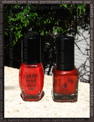 Golden Rose 143 and Manhattan 303 Golden Rose 143 and Manhattan 303