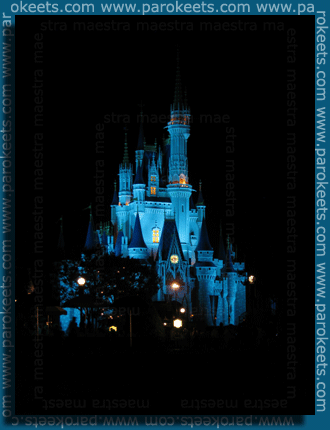 Disney castle