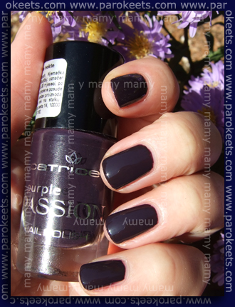 Catrice_Trend_Collection_Purple_Passion_Deep_Purple