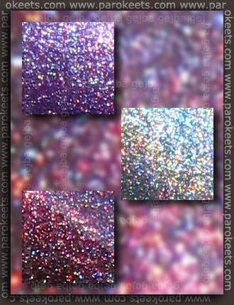 Magnetic holo