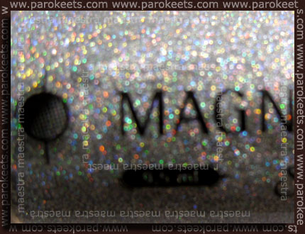 Bottle: Magnetic - Stripe It - Hologram