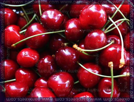 Češnje, Cherries