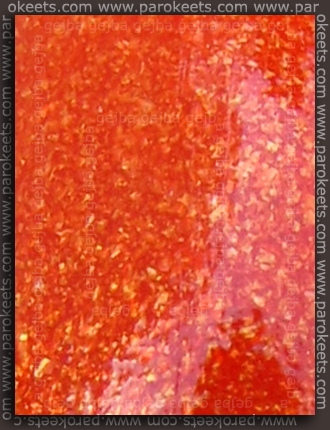 China Glaze - Orange Marmalade detail