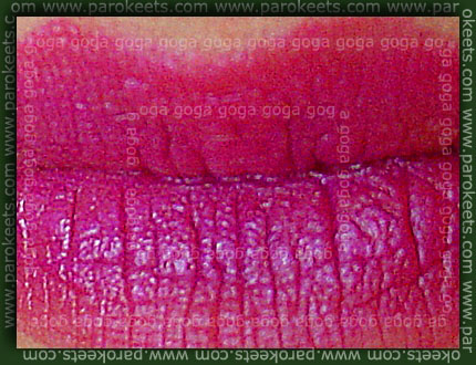 MAC lipstick Violetta swatch