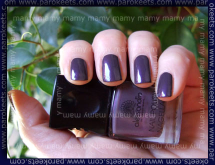 Alessandro: Hypnotic, No Flash, swatch