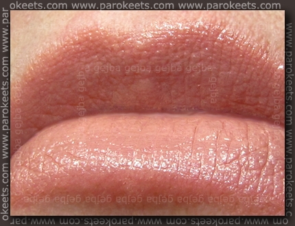 Catrice Ultimate Colour lipstick - Be Natural! swatch by Parokeets