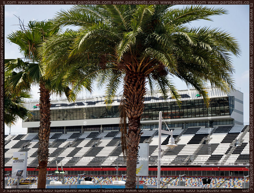 Maestra at the Daytona International Speedway - Nascar USA 2011 Maestra at the Daytona International Speedway - Nascar USA 2011