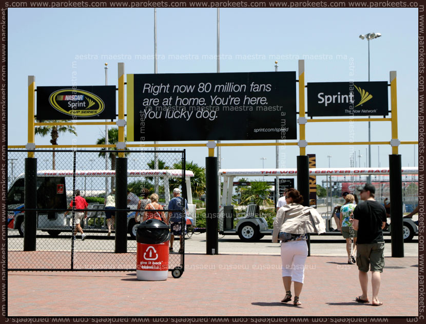 Maestra at the Daytona International Speedway - Nascar USA 2011 Maestra at the Daytona International Speedway - Nascar USA 2011