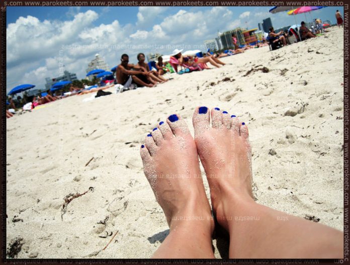 Revlon - Royal in Miami, South Beach