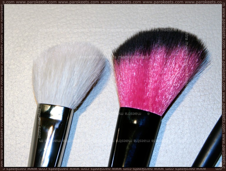 Review Essence brushes