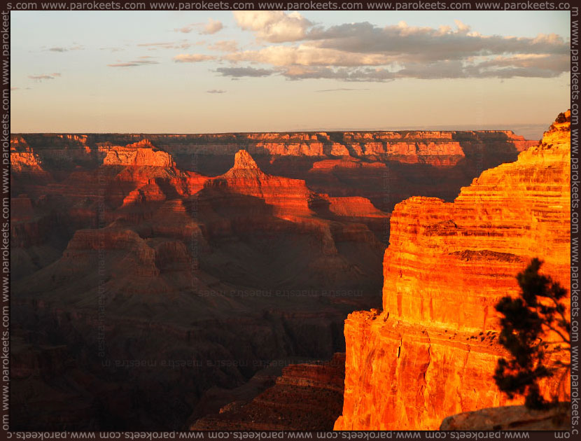 USA 2012: Grand Canyon