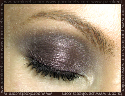Make up by Maestra: Smokey Eyes with MAC Rich Core