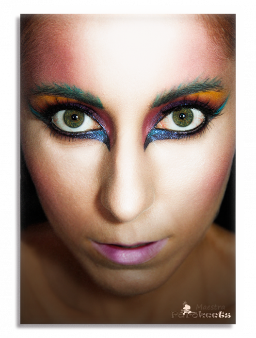 Editorial make up: Bird by Maestra