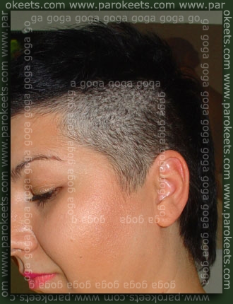 Hair cut - foto hair cut