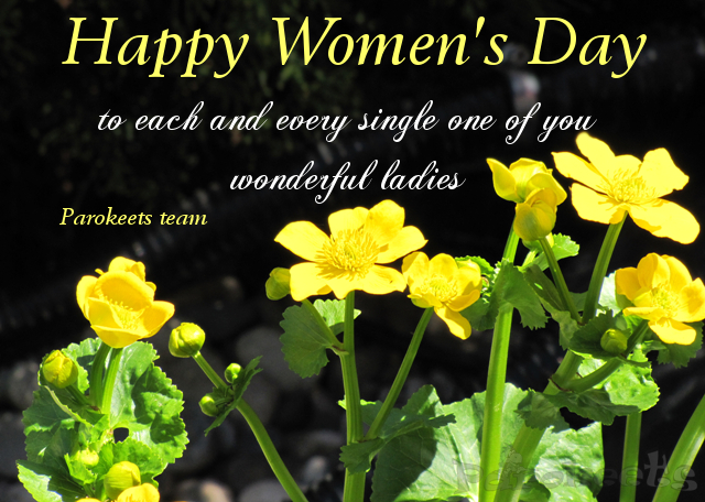Happy Woman's Day 2013 from Parokeets team