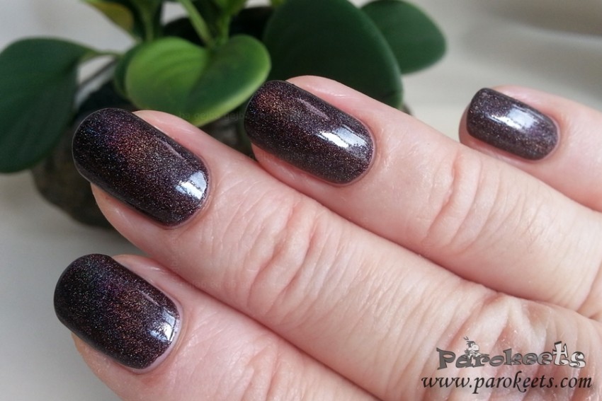 Colour Alike 500 holo nail polish