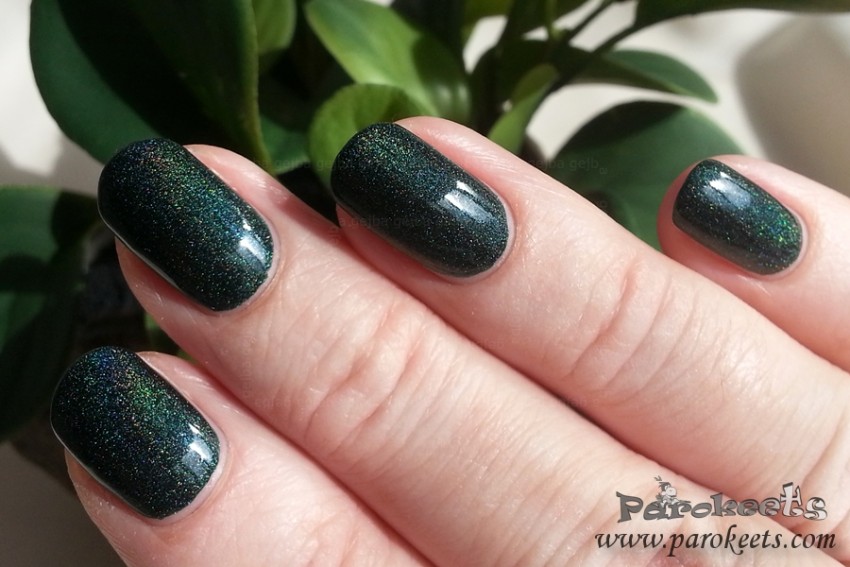 Colour Alike 501 holo nail polish