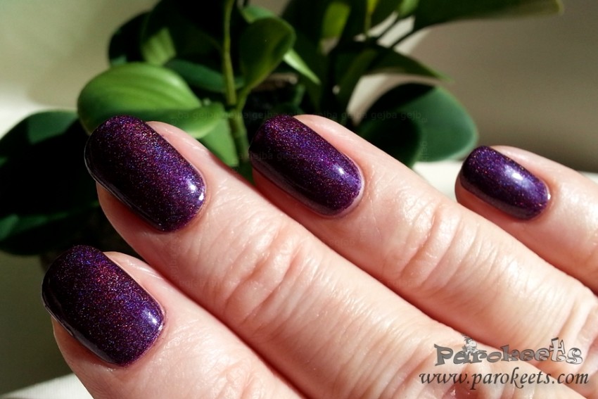 Colour Alike 502 holo nail polish