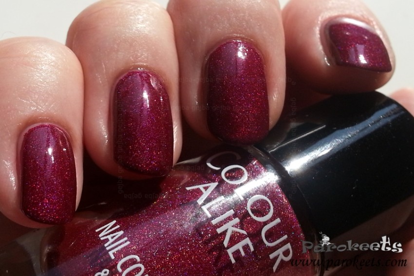 Colour Alike 503 holo nail polish