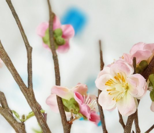 Top sončna krema za mastnokožke (preživi potenje) Top krema za sončenje mastna koza 2019 by Gejba Gabi Nedic