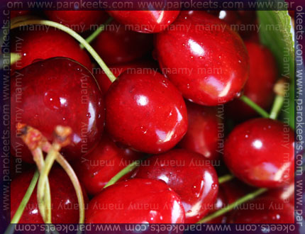 Češnje, Cherries