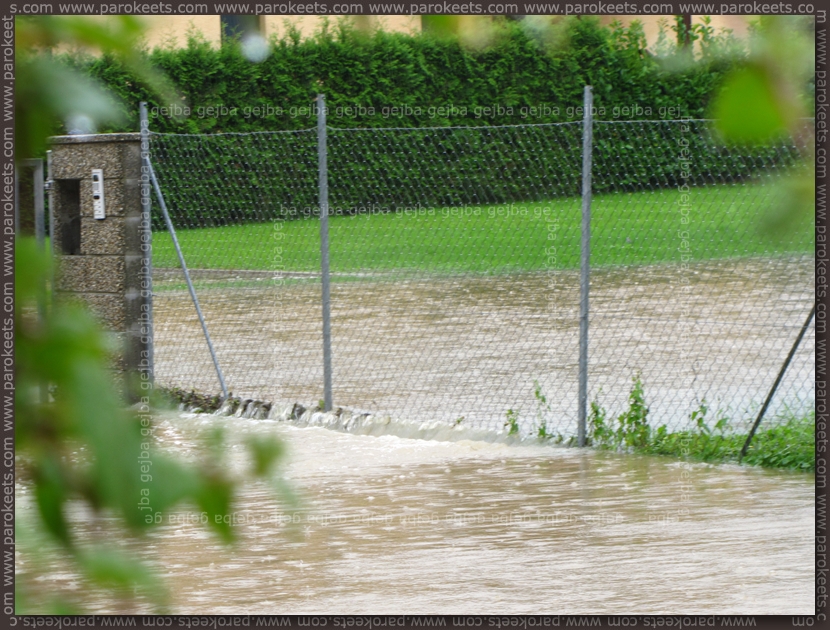 Flood in Ljubljana - fence