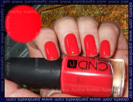 CND Flashpoint