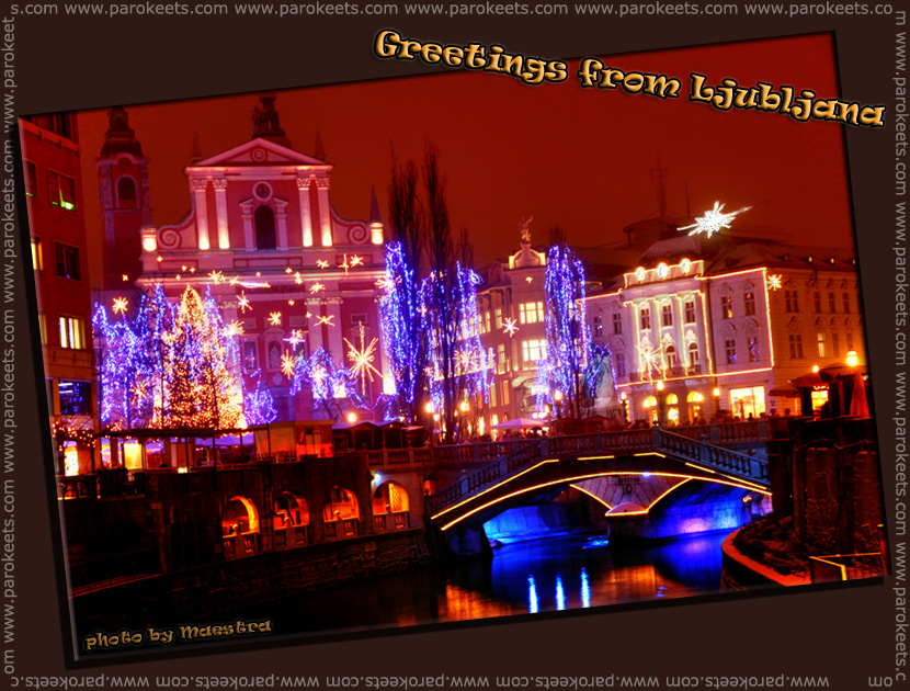 Festive decoration of Ljubljana, Slovenia (photo by Maestra)