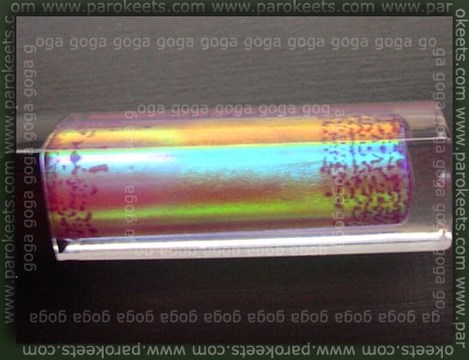 Inglot holographic lip gloss swatch