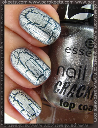 Essence: In Style + Crack Me! Silver swatch by Parokeets